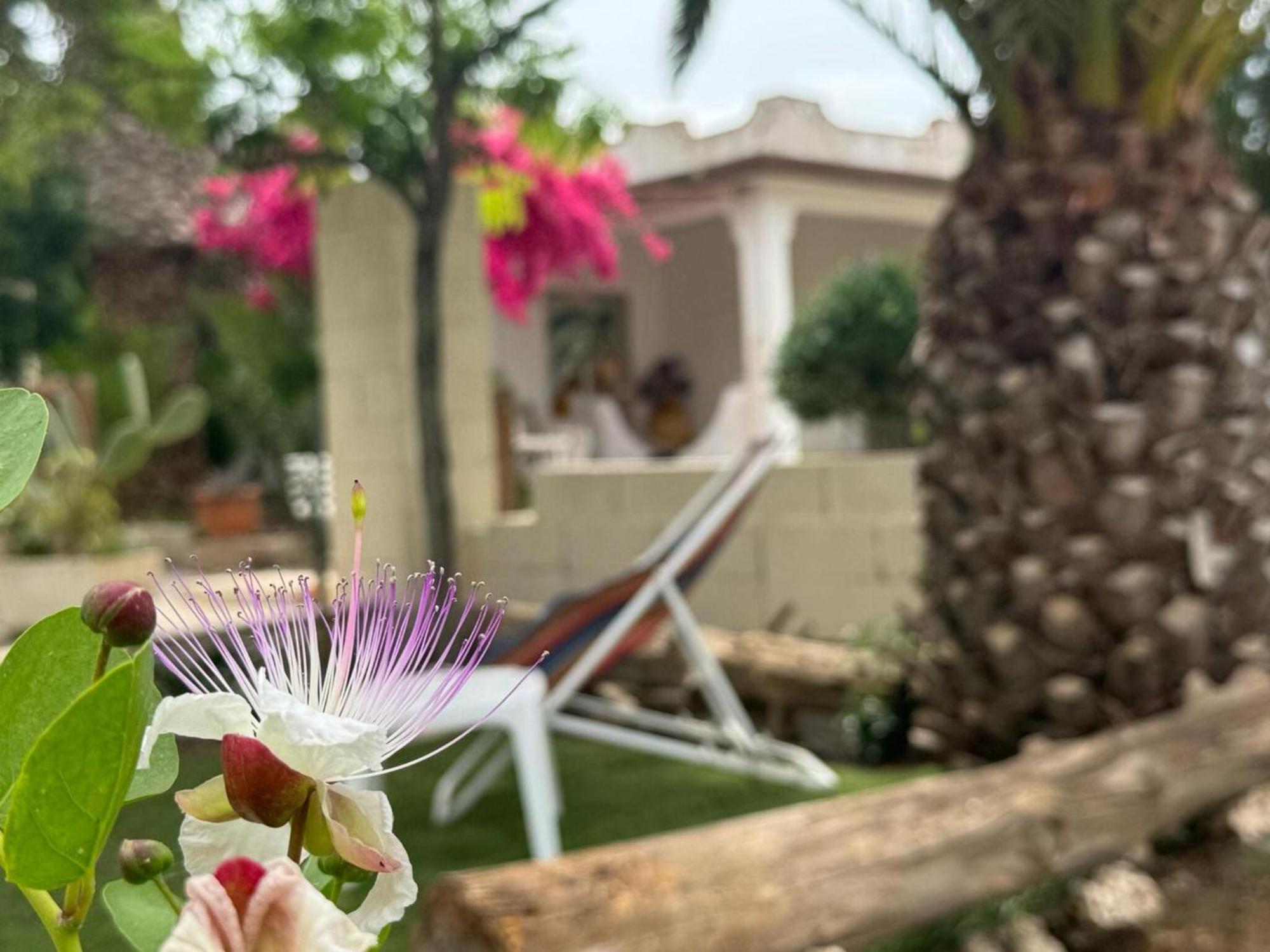 Villa Torretta - Mare Salento Марина-ди-Лиццано Экстерьер фото