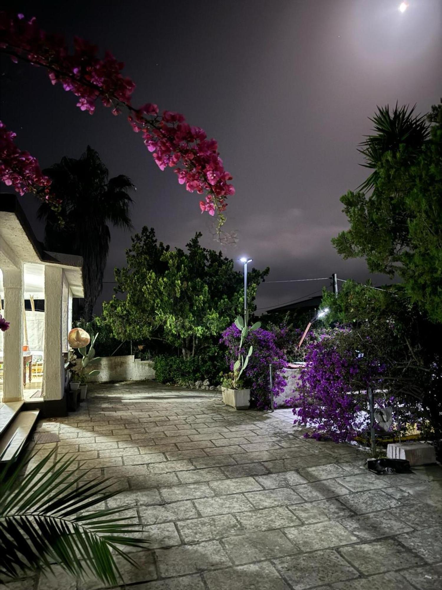 Villa Torretta - Mare Salento Марина-ди-Лиццано Экстерьер фото