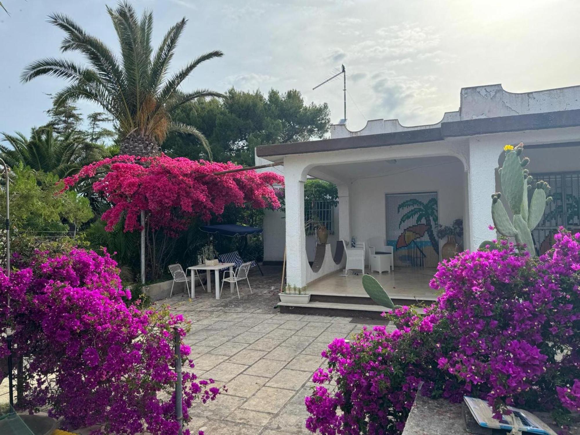 Villa Torretta - Mare Salento Марина-ди-Лиццано Экстерьер фото