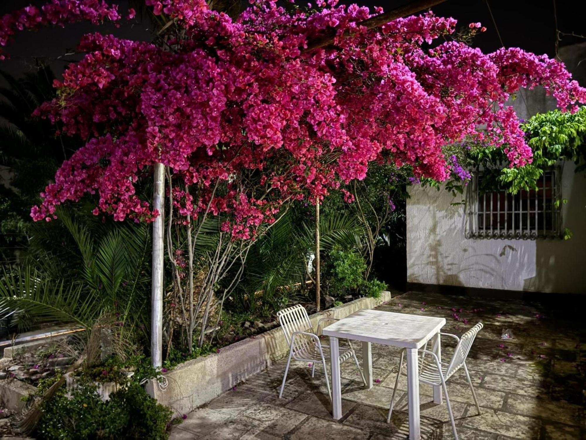 Villa Torretta - Mare Salento Марина-ди-Лиццано Экстерьер фото