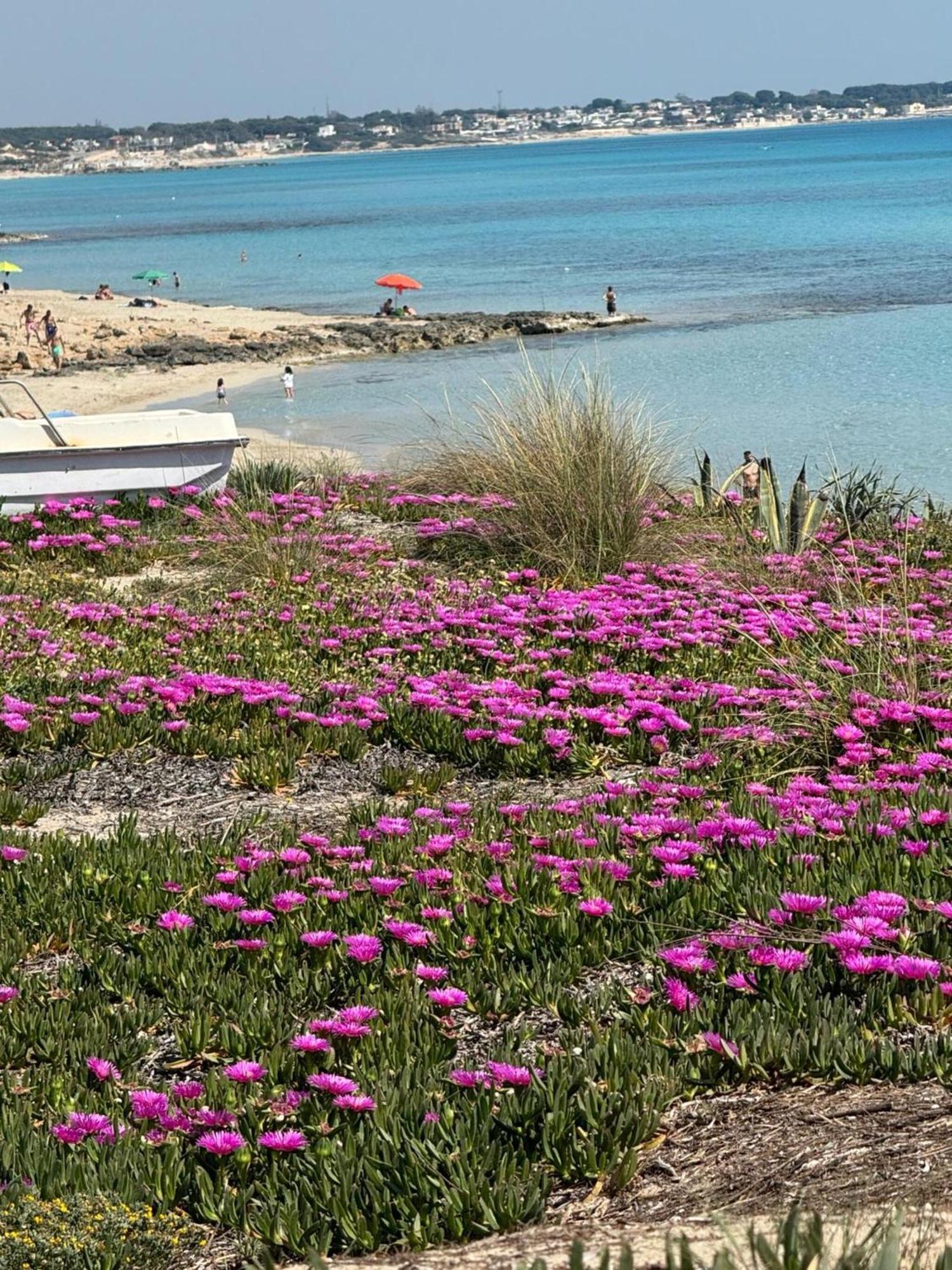 Villa Torretta - Mare Salento Марина-ди-Лиццано Экстерьер фото